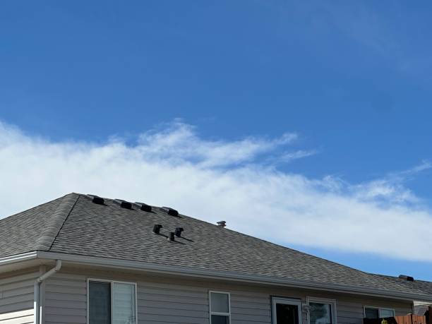 Fast & Reliable Emergency Roof Repairs in Van Alstyne, TX